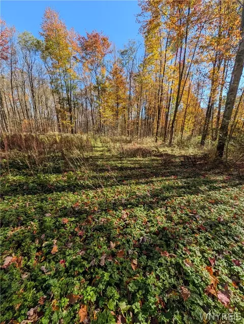 Vl Riga Road, Leon, NY 14726 photo 40