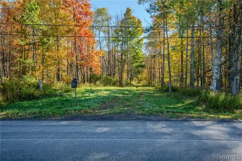 Vl Riga Road, Leon, NY 14726 photo 37