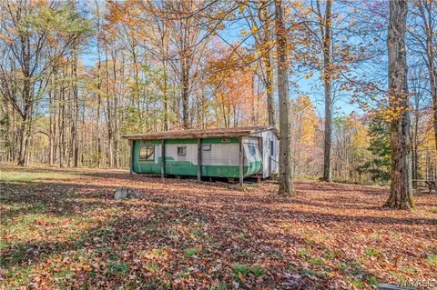 Vl Riga Road, Leon, NY 14726 photo 6