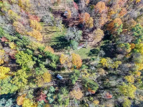 Vl Riga Road, Leon, NY 14726 photo 35