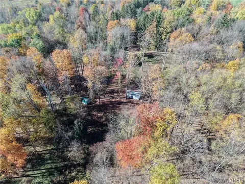 Vl Riga Road, Leon, NY 14726 photo 5