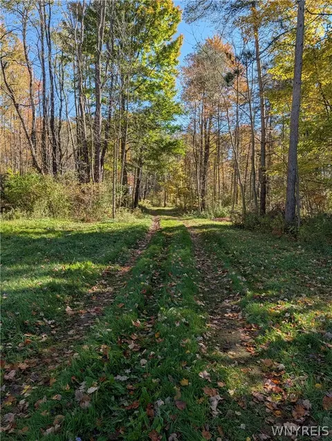 Vl Riga Road, Leon, NY 14726 photo 44