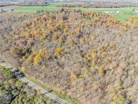 Vl Riga Road, Leon, NY 14726 photo 8