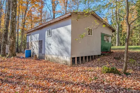 Vl Riga Road, Leon, NY 14726 photo 13