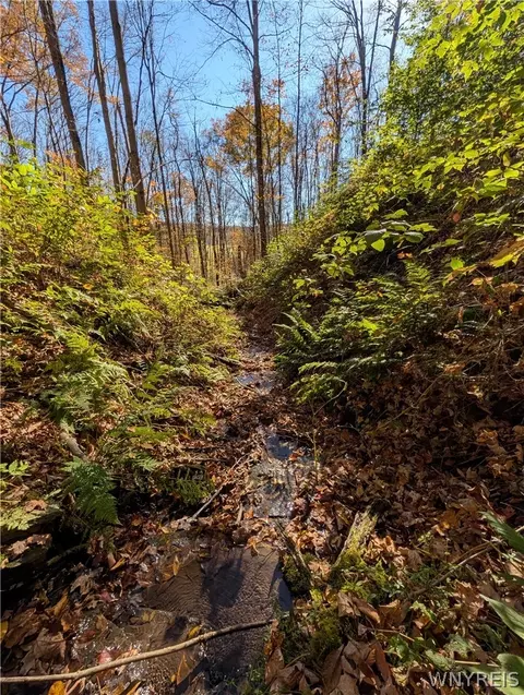 Vl Riga Road, Leon, NY 14726 photo 33