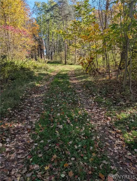 Vl Riga Road, Leon, NY 14726 photo 43