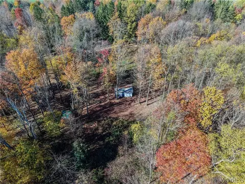 Vl Riga Road, Leon, NY 14726 photo 9