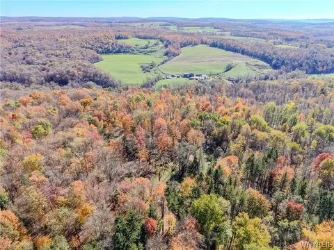Vl Riga Road, Leon, NY 14726 photo 3