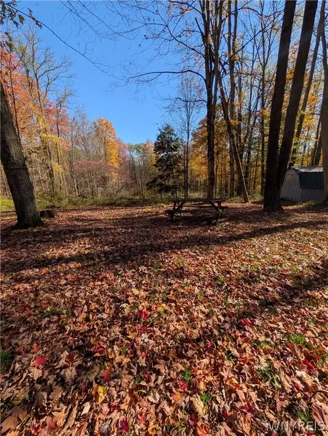 Vl Riga Road, Leon, NY 14726 photo 42