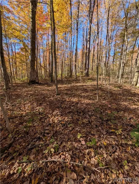Vl Riga Road, Leon, NY 14726 photo 29