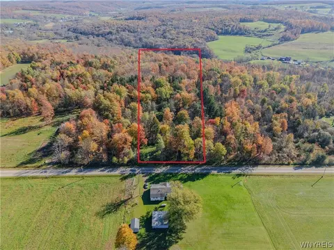 Vl Riga Road, Leon, NY 14726 photo 4