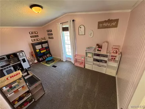 357 Grandview Dr, Arcade, NY 14009 photo 14