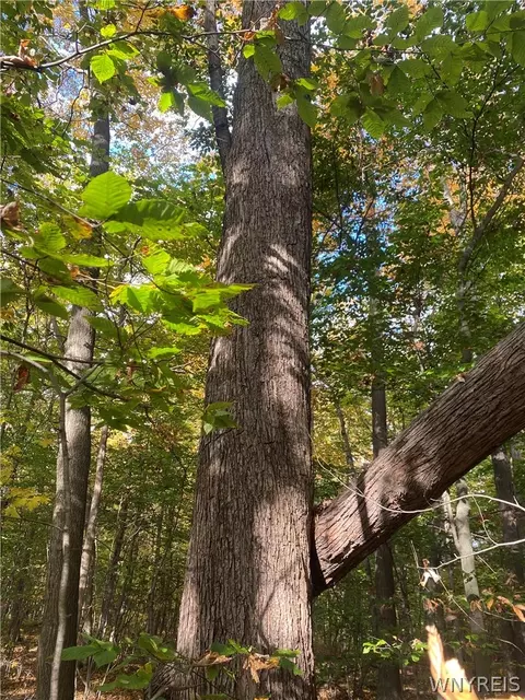 Other - 2740 Maple Rd, Wilson, NY 14172 photo 5 of 6