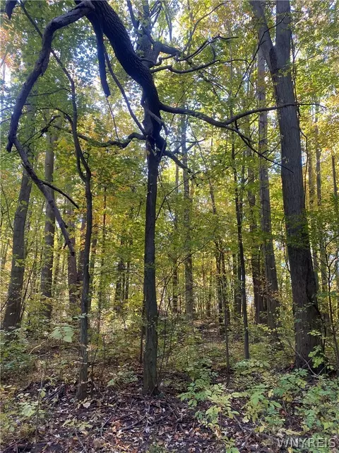 Other - 2740 Maple Rd, Wilson, NY 14172 photo 4 of 6