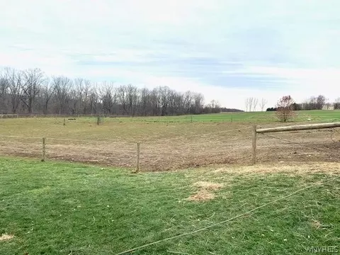 Other - 360 Halseyville Rd, Enfield, NY 14850 photo 11 of 13