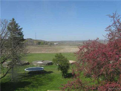 4051 Ropps Rd, Conewango, NY 14772 photo 16