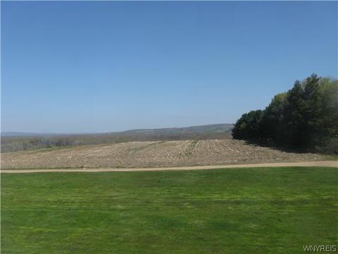 4051 Ropps Rd, Conewango, NY 14772 photo 15