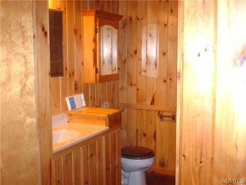 7231 Alderbottom Rd, Conewango Valley, NY 14726 photo 10