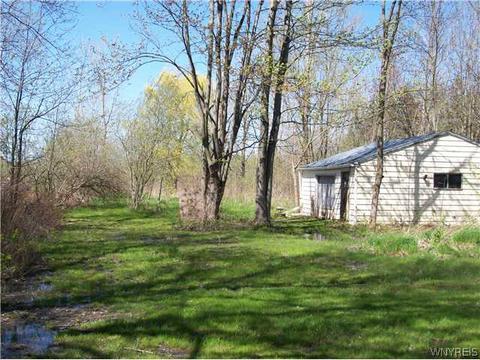 4119 Tonawanda Creek Rd, Pendleton, NY 14120 photo 14