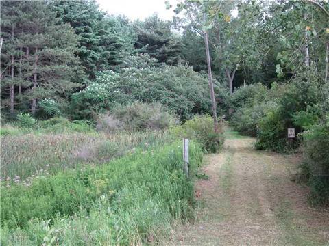 5167 Curriers Rd, Java, NY 14009 photo 1