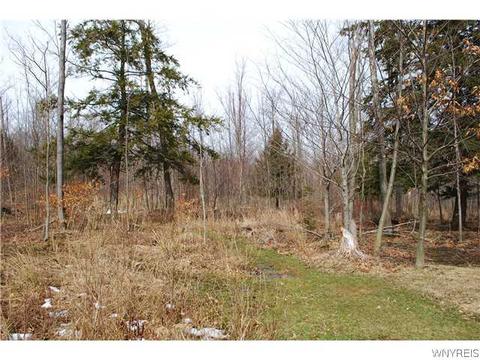 1740 Bailey Rd, Aurora, NY 14052 photo 20