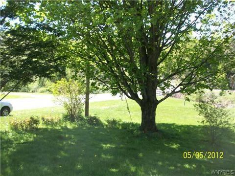 6313 Patchin Rd, Boston, NY 14025 photo 3