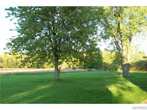 4751 Meyer Rd, Pendleton, NY 14120 photo 3
