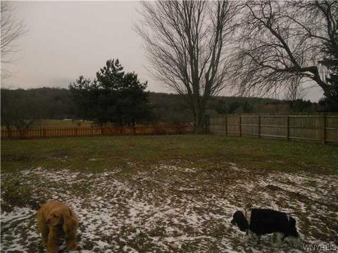 7030 Olean Rd, Wales, NY 14139 photo 15