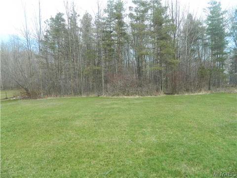 19 Allen St, Evans, NY 14006 photo 24