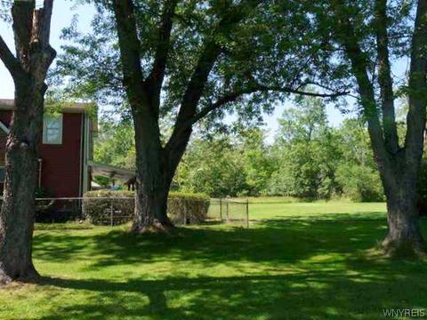 446 Buffalo Rd, Aurora, NY 14052 photo 4