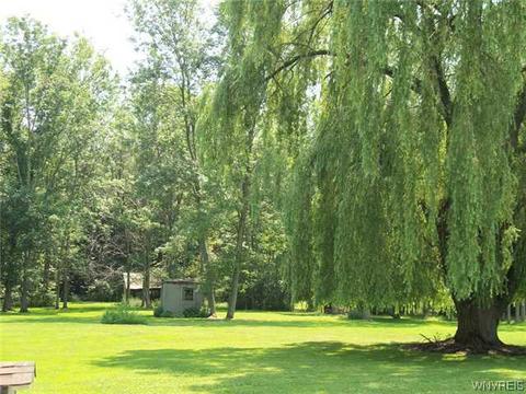 5314 Oakwood Dr, Pendleton, NY 14120 photo 2