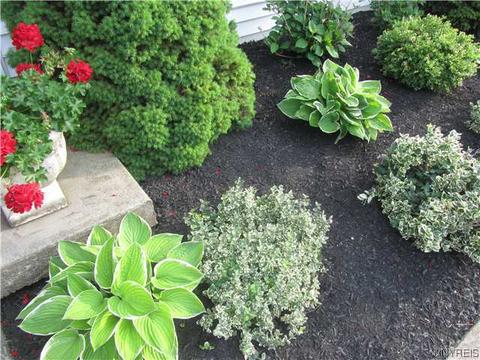 15 Hampton Ct, Lancaster, NY 14086 photo 25