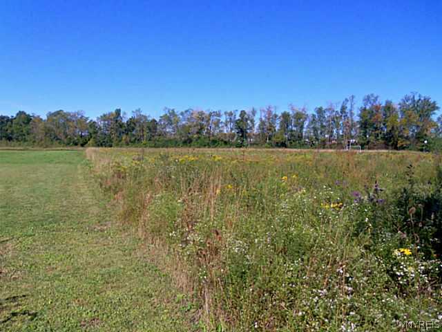  7000 Townline Rd, Wheatfield, NY 14120 photo 25
