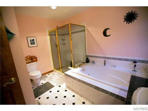4609 Beach Rdg, Pendleton, NY 14094 photo 20