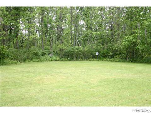 6679 E Canal Rd, Pendleton, NY 14094 photo 12