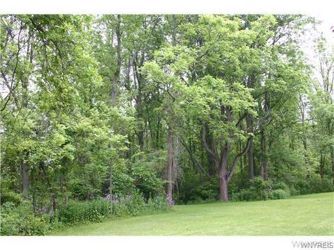 6679 E Canal Rd, Pendleton, NY 14094 photo 16