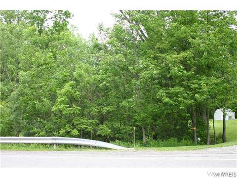 6679 E Canal Rd, Pendleton, NY 14094 photo 15