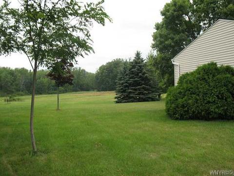 1406 Darlington Dr, Evans, NY 14047 photo 15