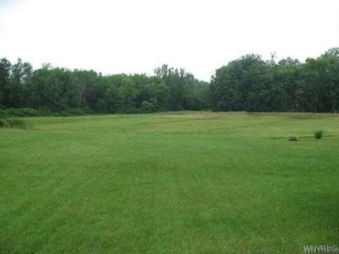 1406 Darlington Dr, Evans, NY 14047 photo 22