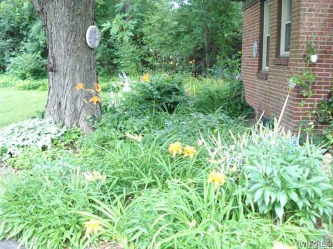 36 Devonshire Rd, Buffalo, NY 14223 photo 14