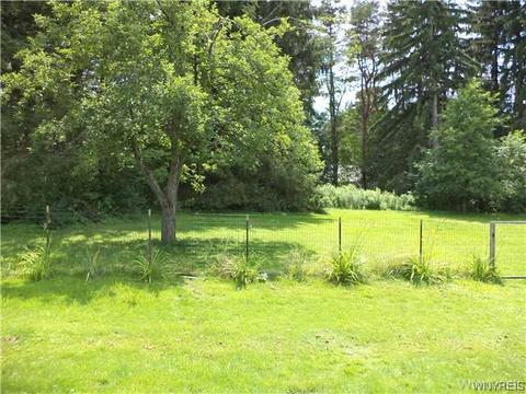 816 Bell, Olean, NY 14760 photo 17