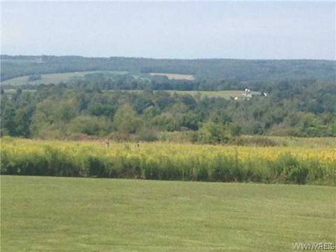 836 Centerline Rd, Sheldon, NY 14145 photo 4