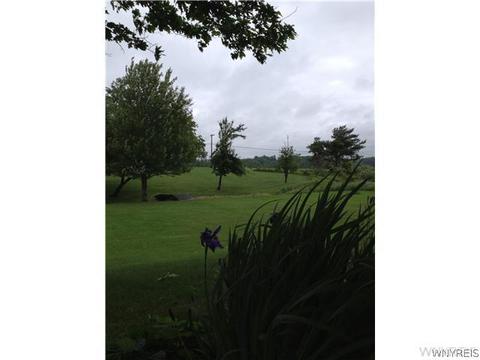 11357 Mileblock Rd, North Collins, NY 14111 photo 18