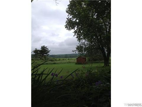 11357 Mileblock Rd, North Collins, NY 14111 photo 17