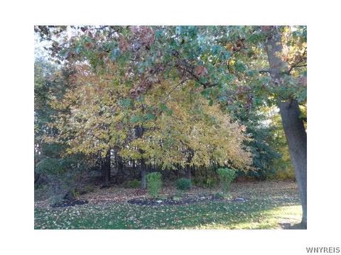 65 Sutherland Ct, Buffalo, NY 14221 photo 23