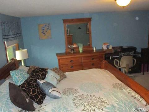 8829 State Rd, Colden, NY 14033 photo 9