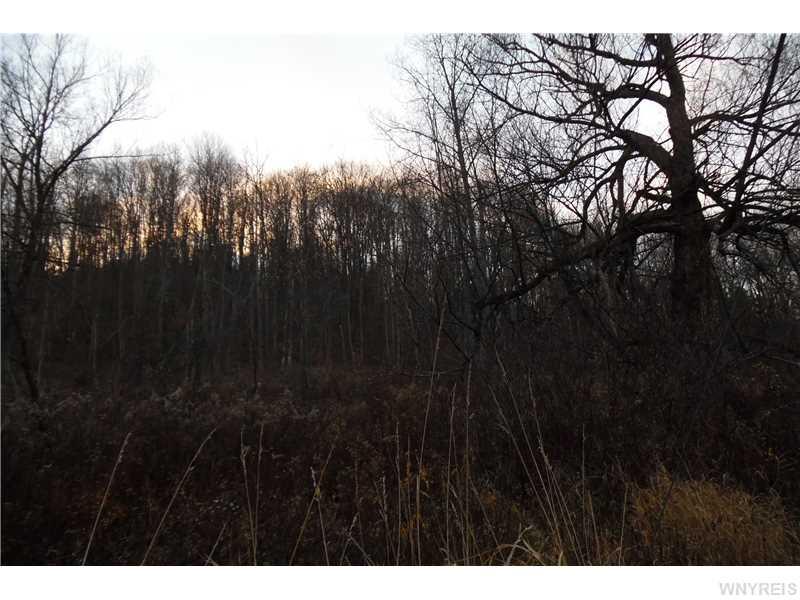 630 Barnum Rd, Olean, NY 14760 photo 2