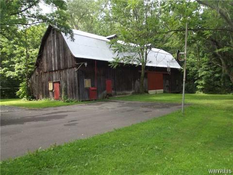 4446 Eckhardt Rd, Eden, NY 14057 photo 19