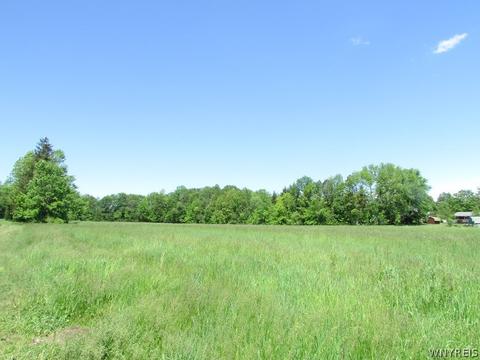 4446 Eckhardt Rd, Eden, NY 14057 photo 24