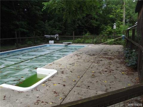 4446 Eckhardt Rd, Eden, NY 14057 photo 16